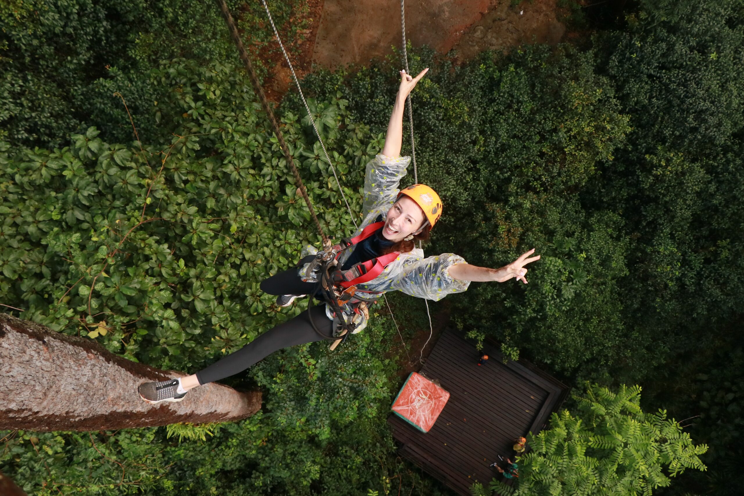 Zipping Around the Jungle